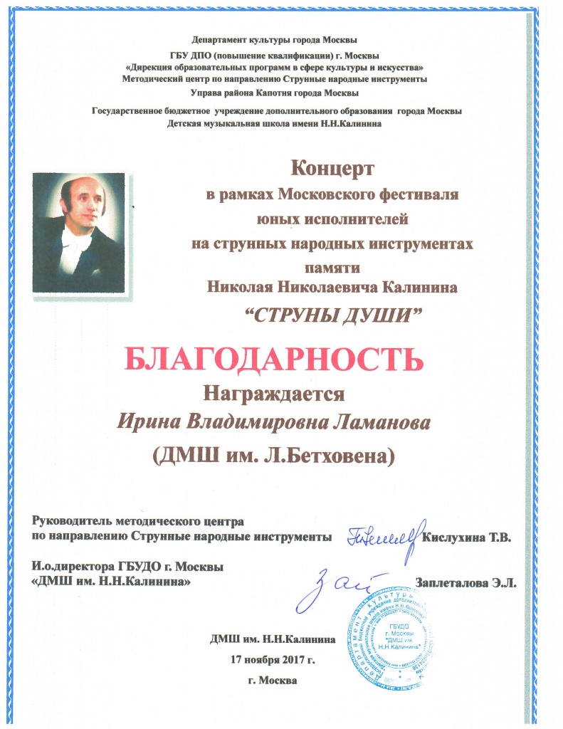 2017 (2) струны.jpg